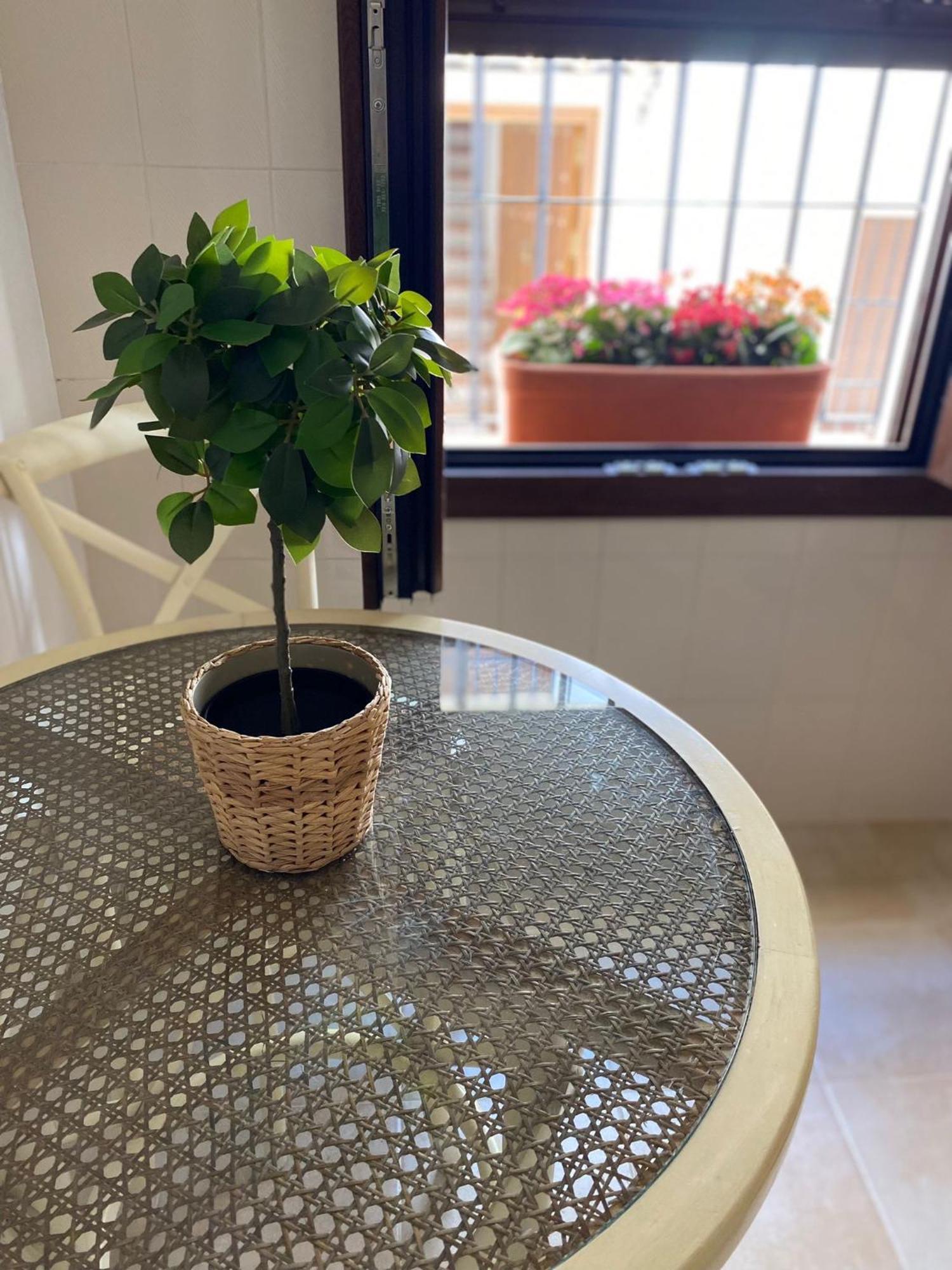 El Endrinal Apartment กราซาเลมา ภายนอก รูปภาพ